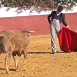 Los entresijos de un tentadero, la selección de la bravura en el Raza de esta semana